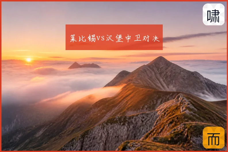 莱比锡vs汉堡中卫对决